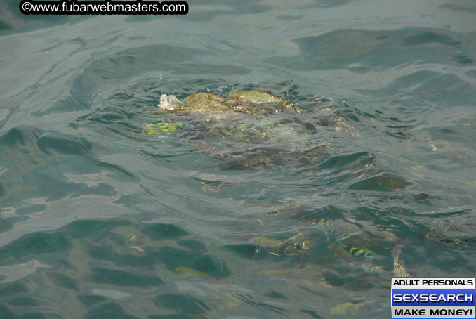 Speedboat Island Hopping