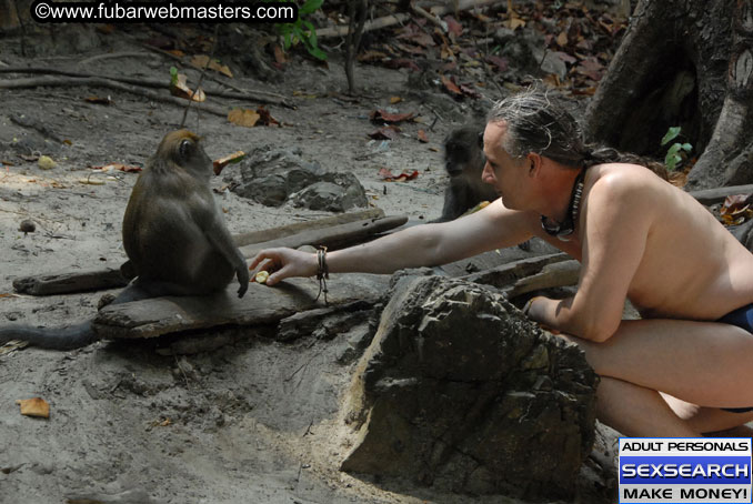 Speedboat Island Hopping
