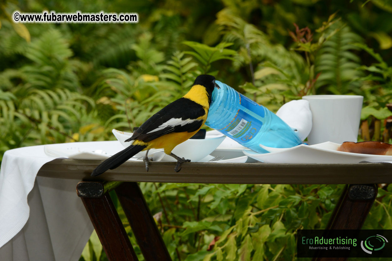 The Island Gathering Day 2