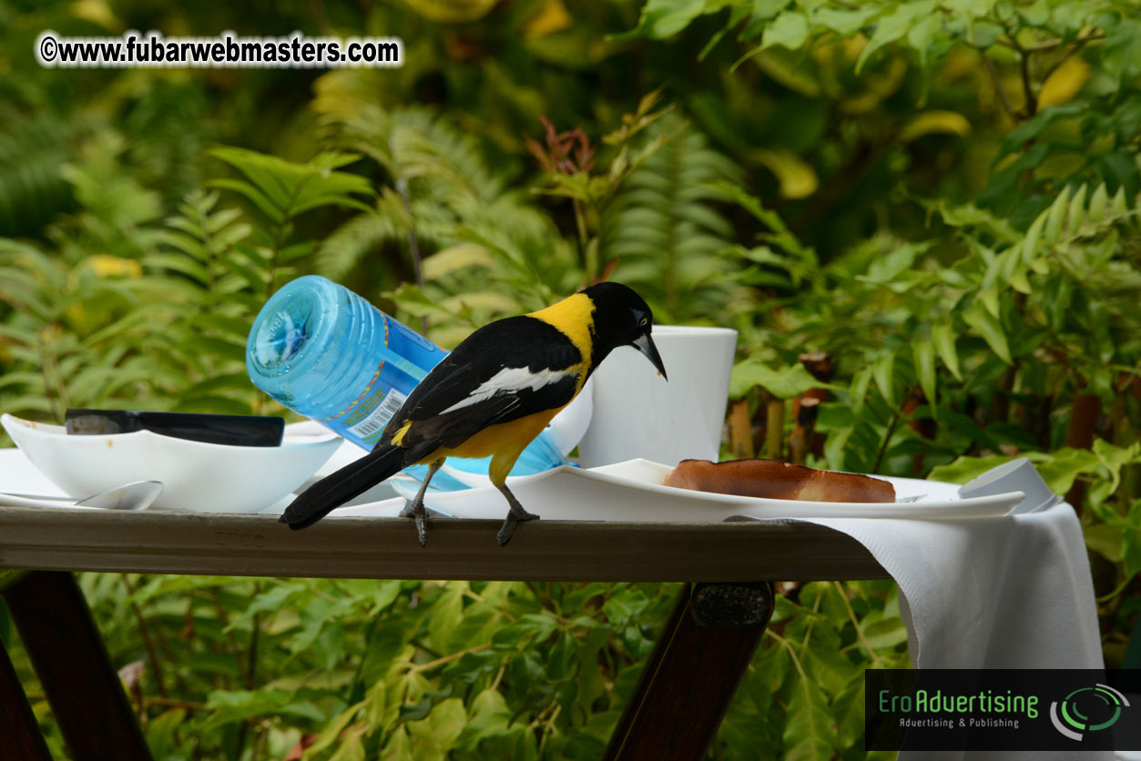 The Island Gathering Day 2