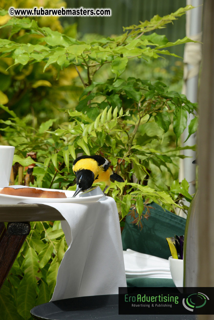 The Island Gathering Day 2