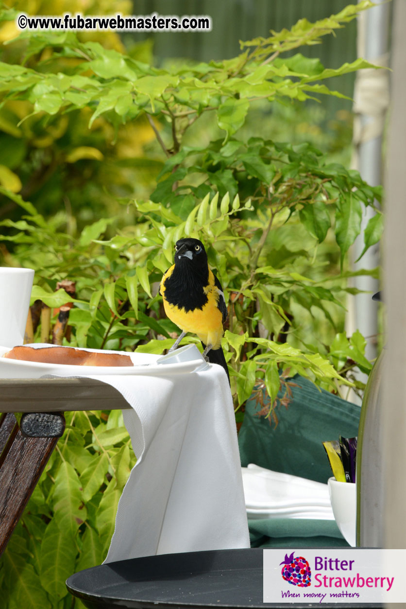 The Island Gathering Day 2