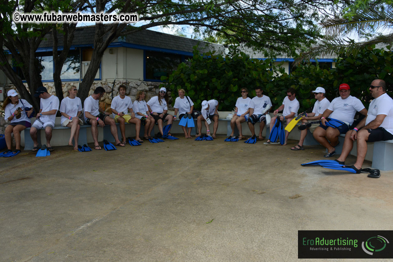 WireCard Dolphin Swim