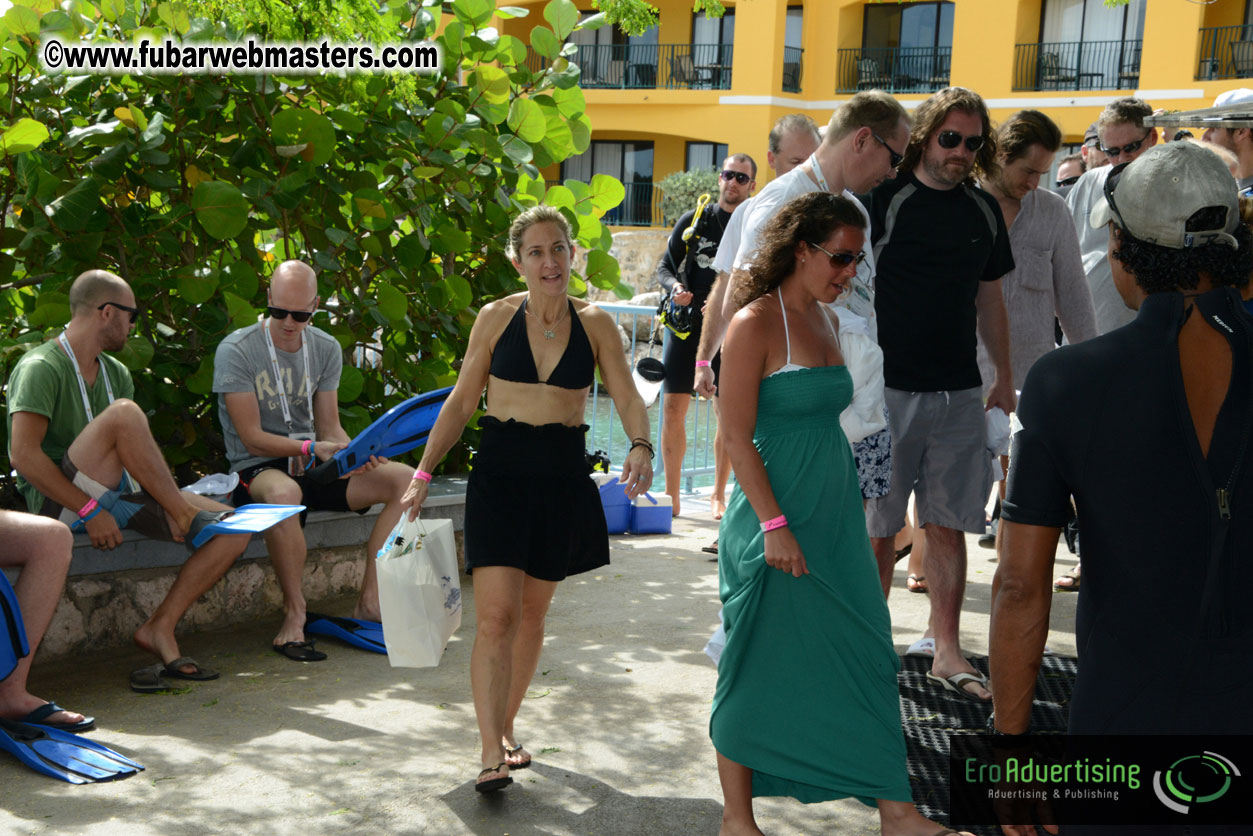 WireCard Dolphin Swim