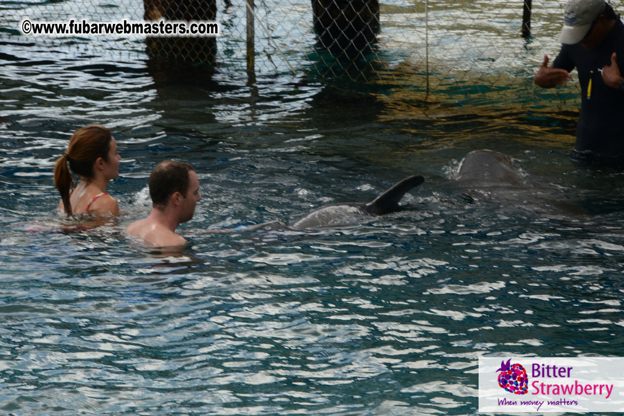 WireCard Dolphin Swim