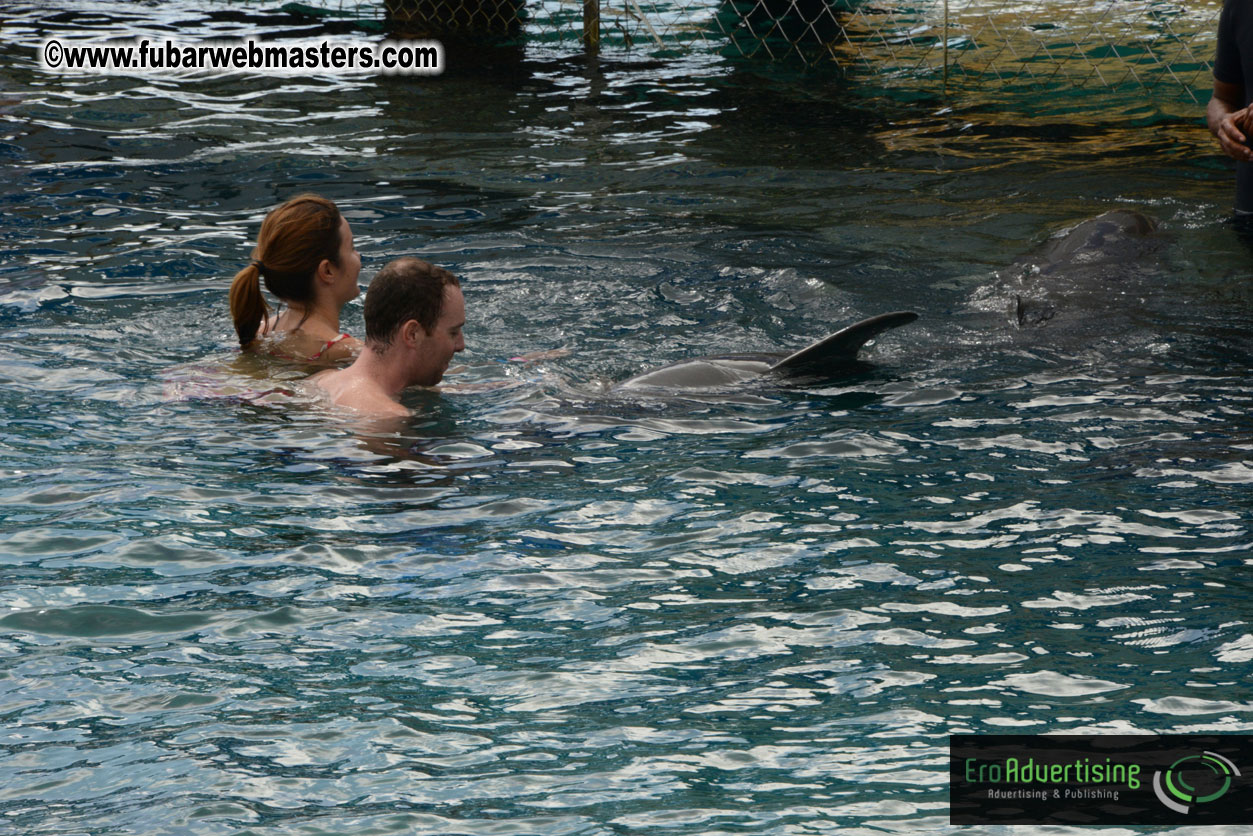 WireCard Dolphin Swim