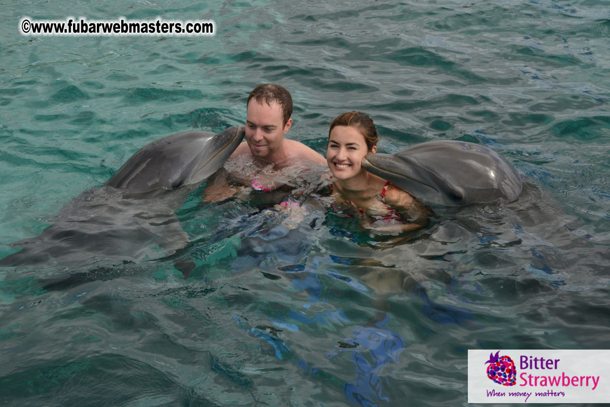 WireCard Dolphin Swim