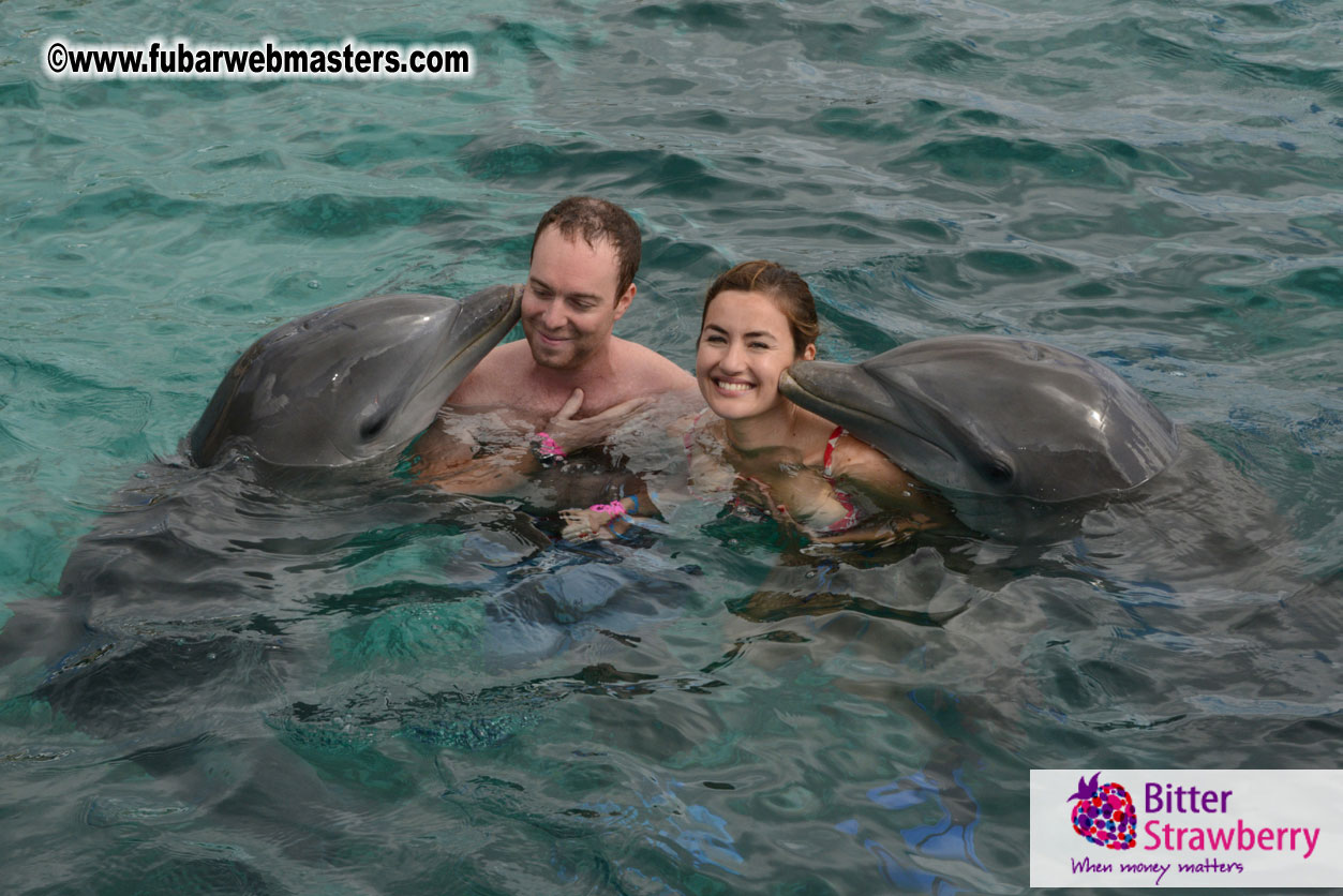 WireCard Dolphin Swim