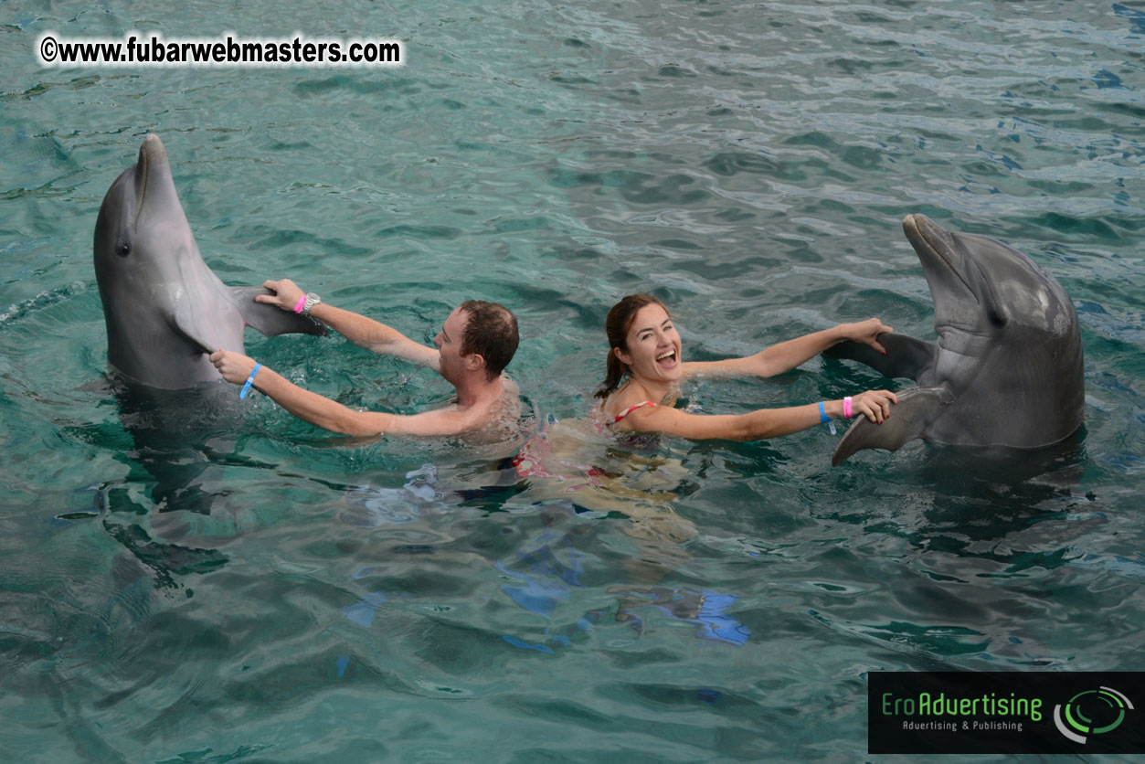 WireCard Dolphin Swim