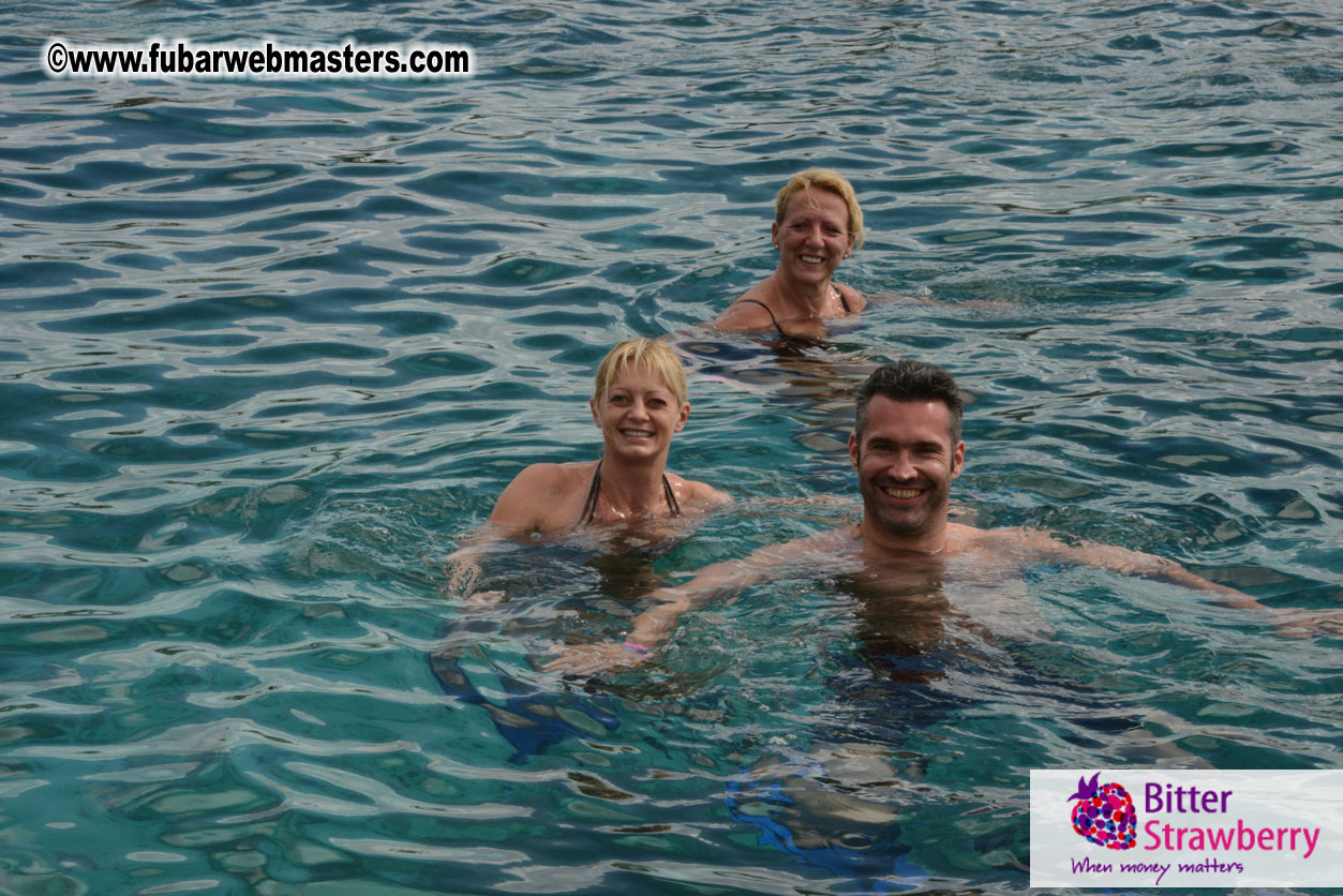 WireCard Dolphin Swim