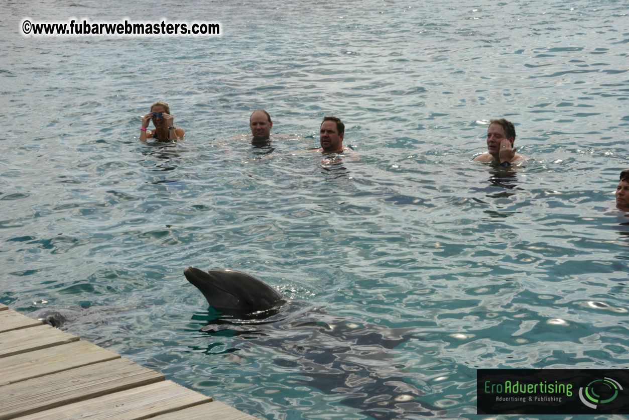 WireCard Dolphin Swim