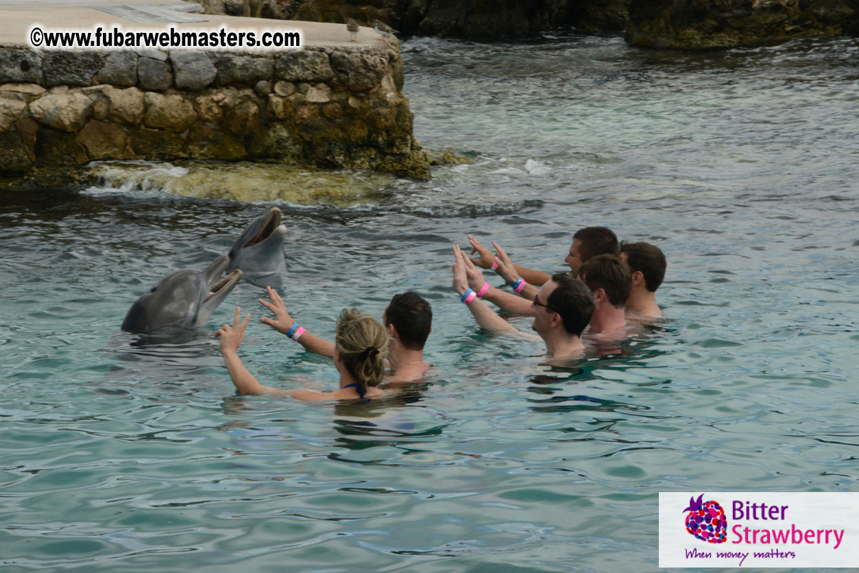 WireCard Dolphin Swim