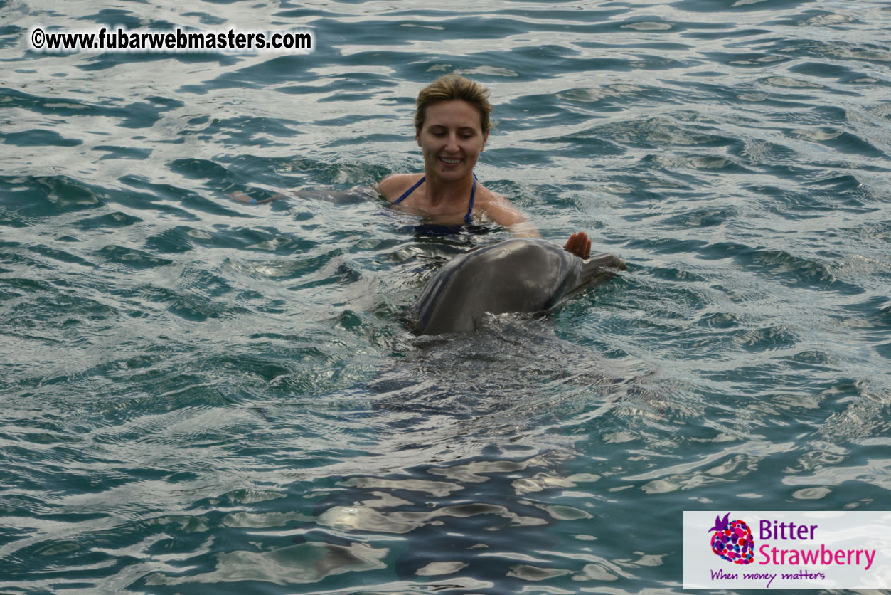 WireCard Dolphin Swim