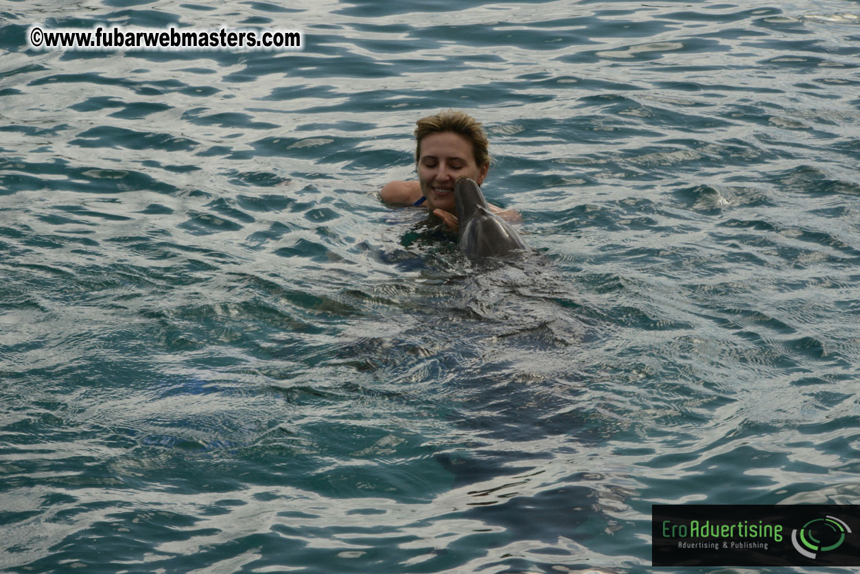 WireCard Dolphin Swim