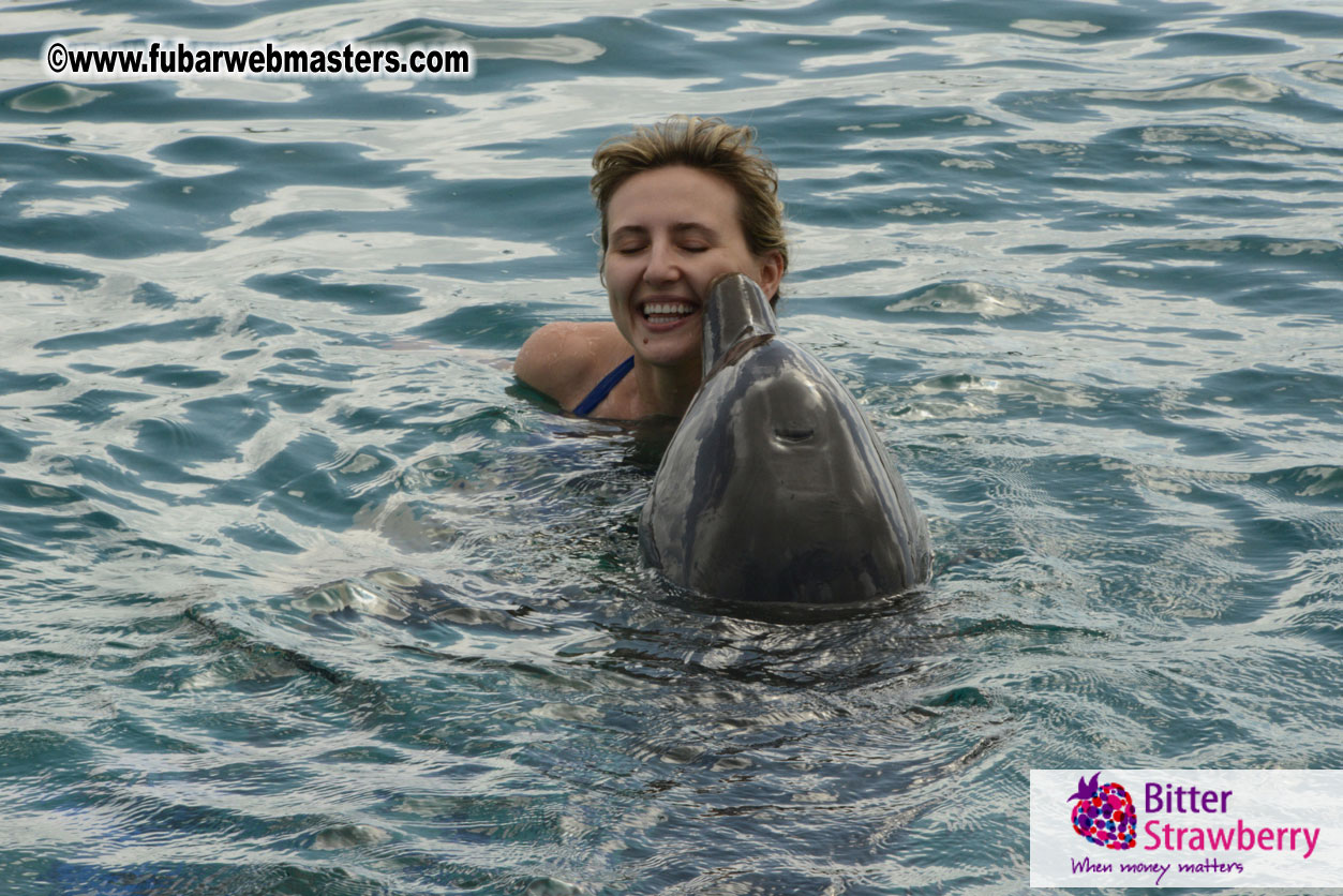 WireCard Dolphin Swim