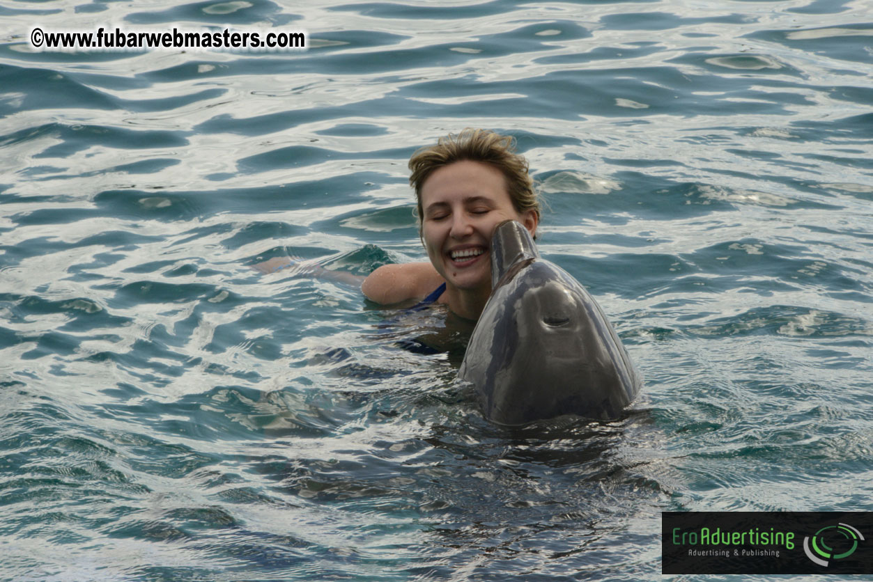 WireCard Dolphin Swim