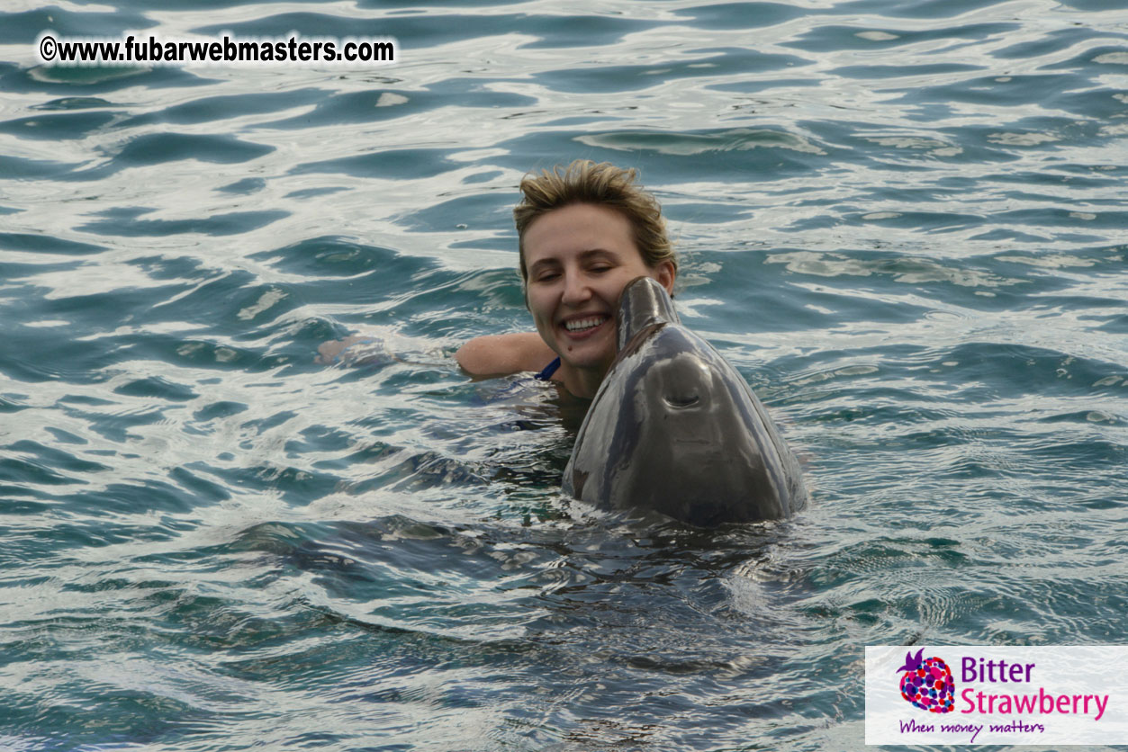 WireCard Dolphin Swim