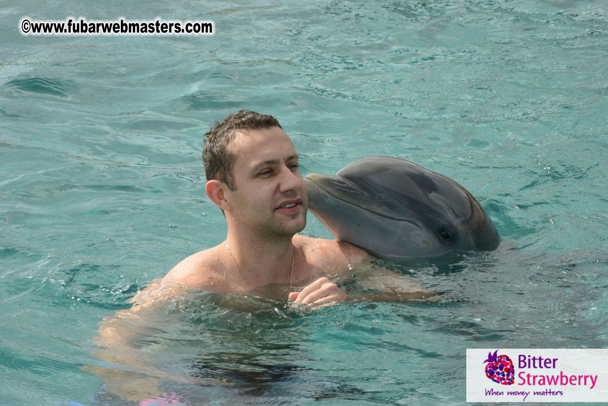 WireCard Dolphin Swim