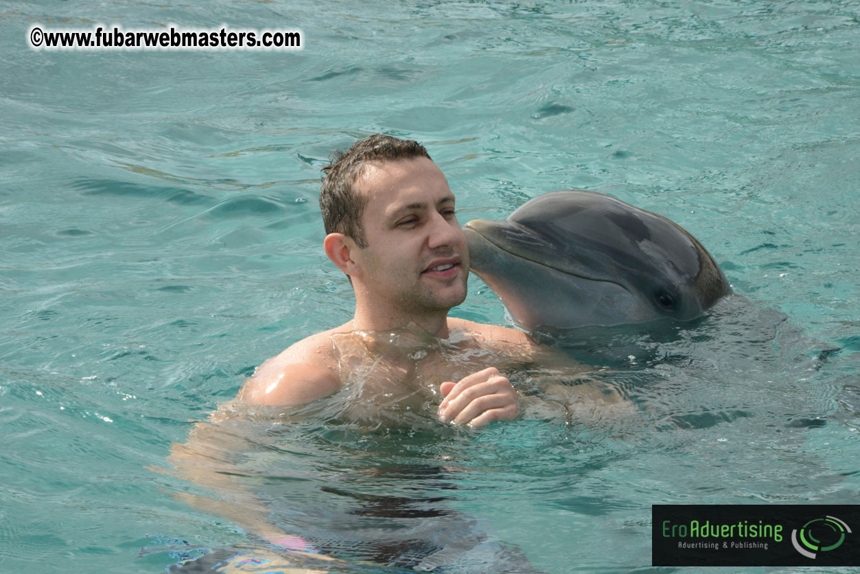 WireCard Dolphin Swim