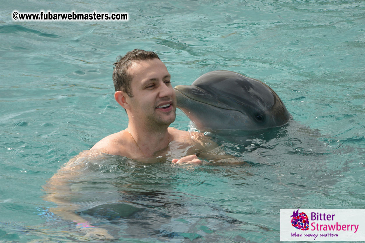 WireCard Dolphin Swim