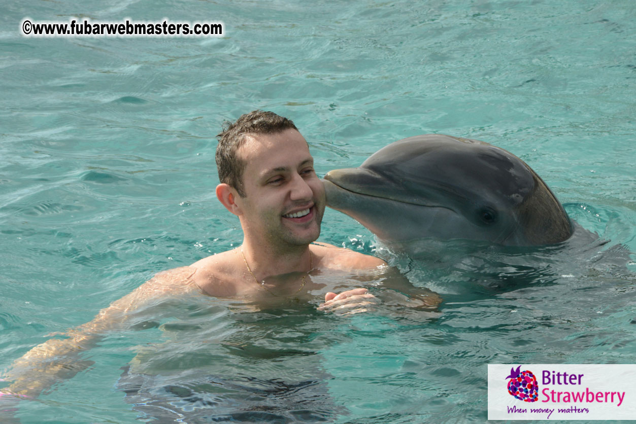 WireCard Dolphin Swim