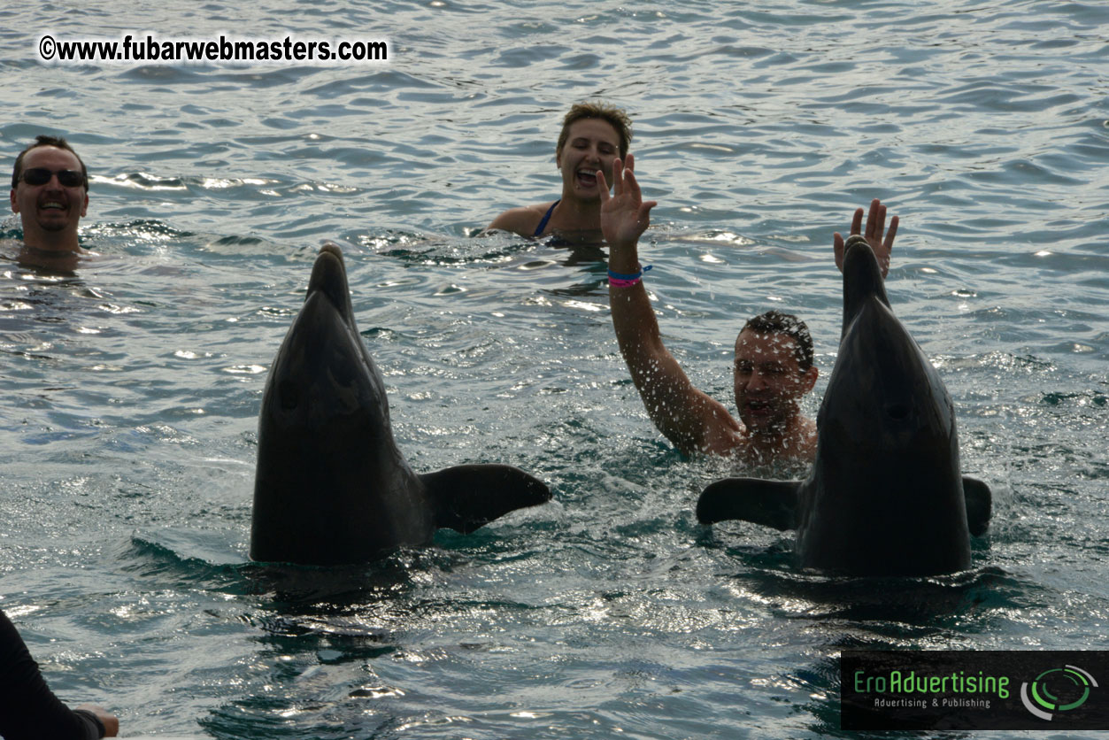 WireCard Dolphin Swim