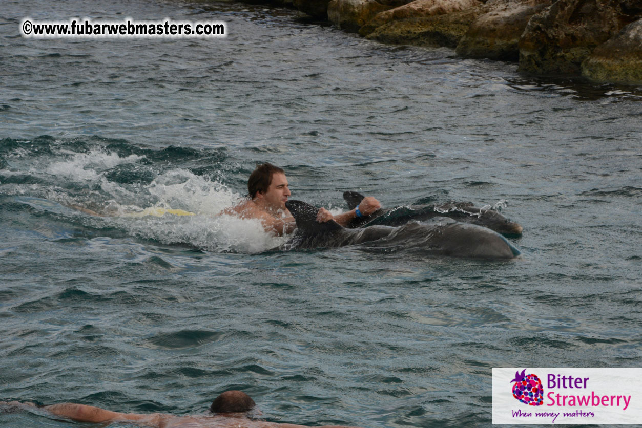 WireCard Dolphin Swim