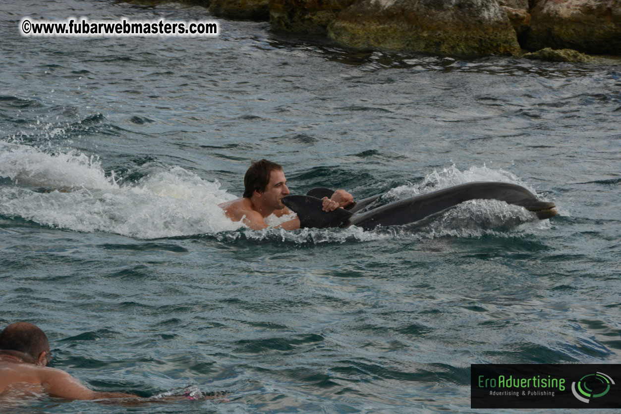 WireCard Dolphin Swim