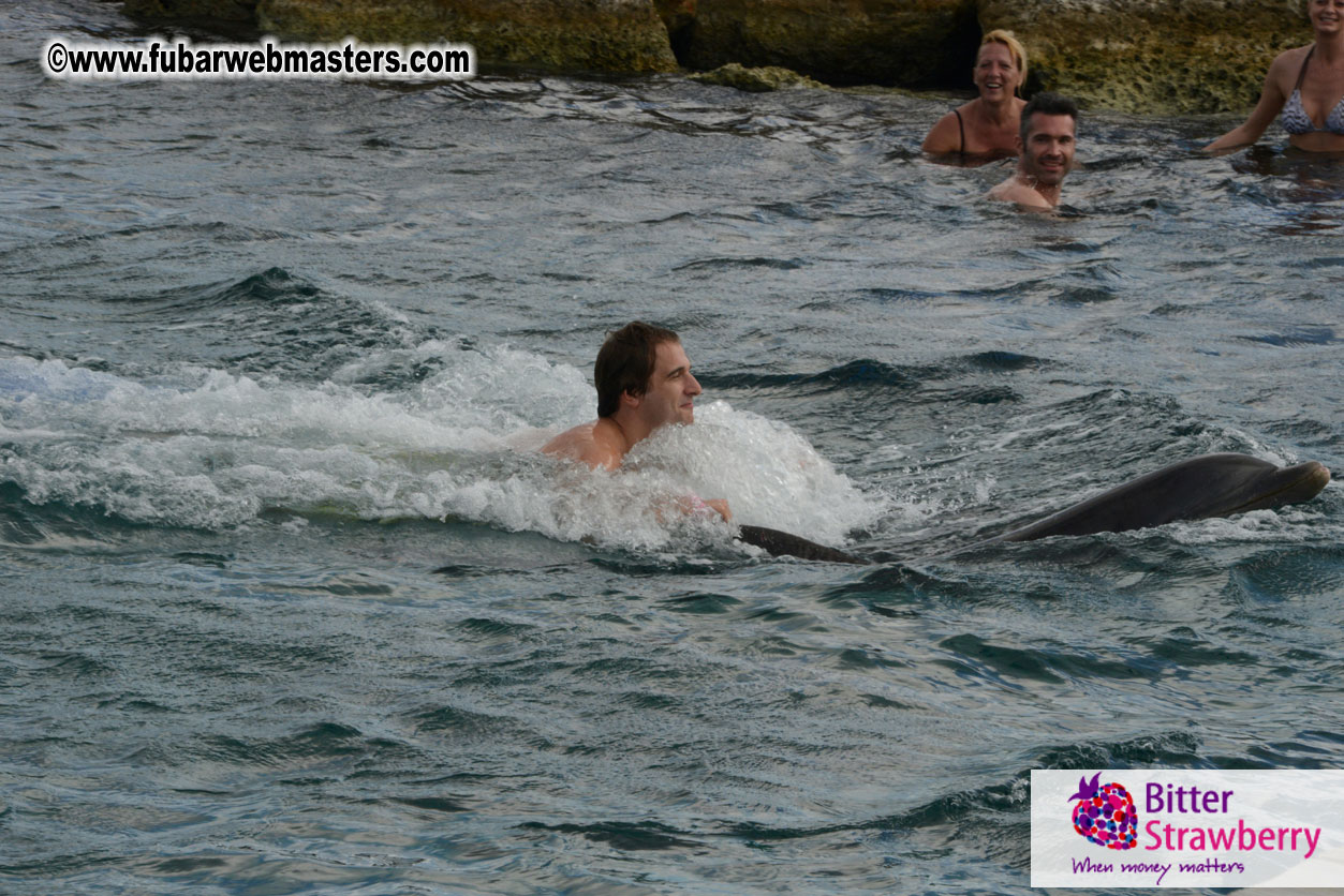 WireCard Dolphin Swim