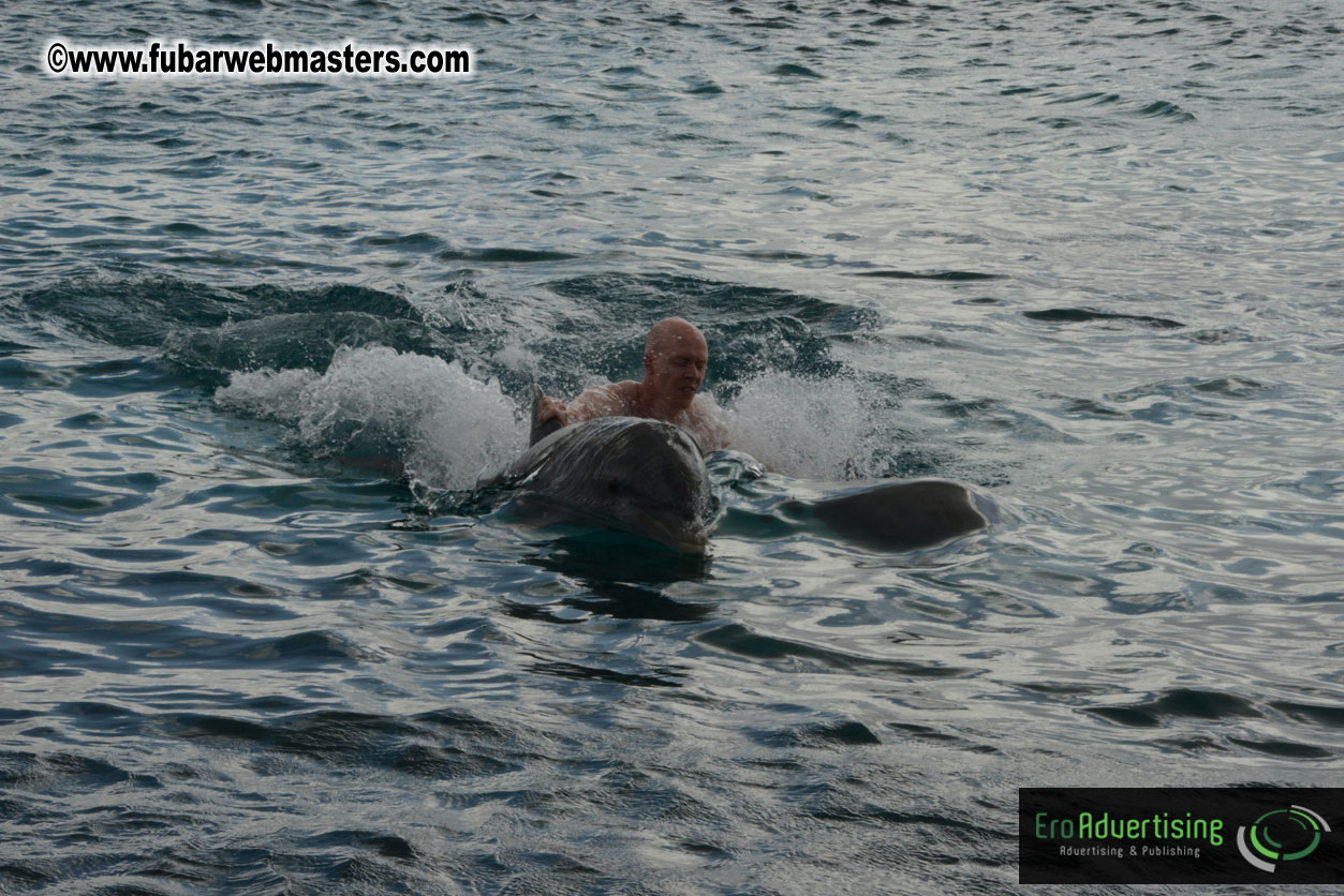 WireCard Dolphin Swim