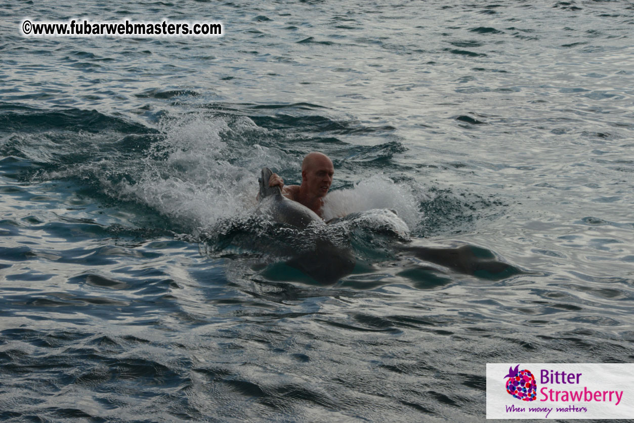 WireCard Dolphin Swim