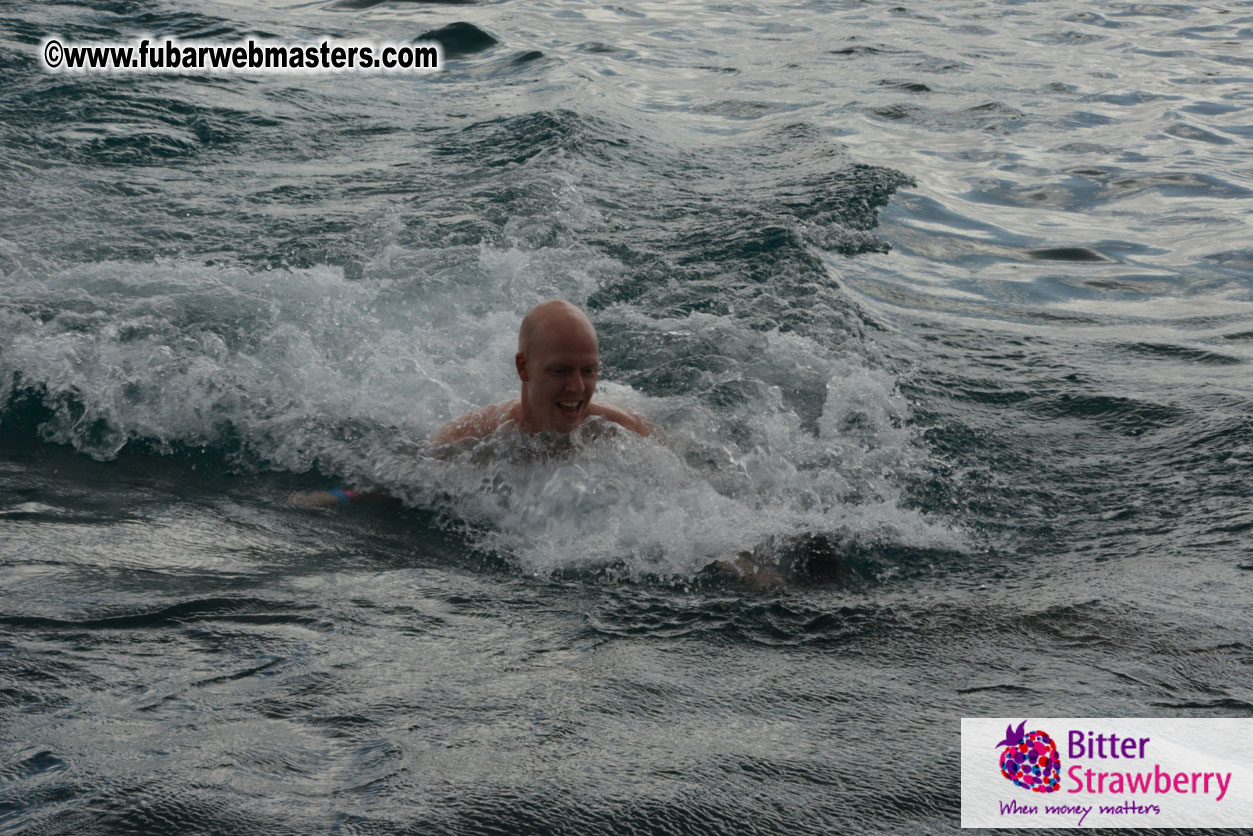 WireCard Dolphin Swim