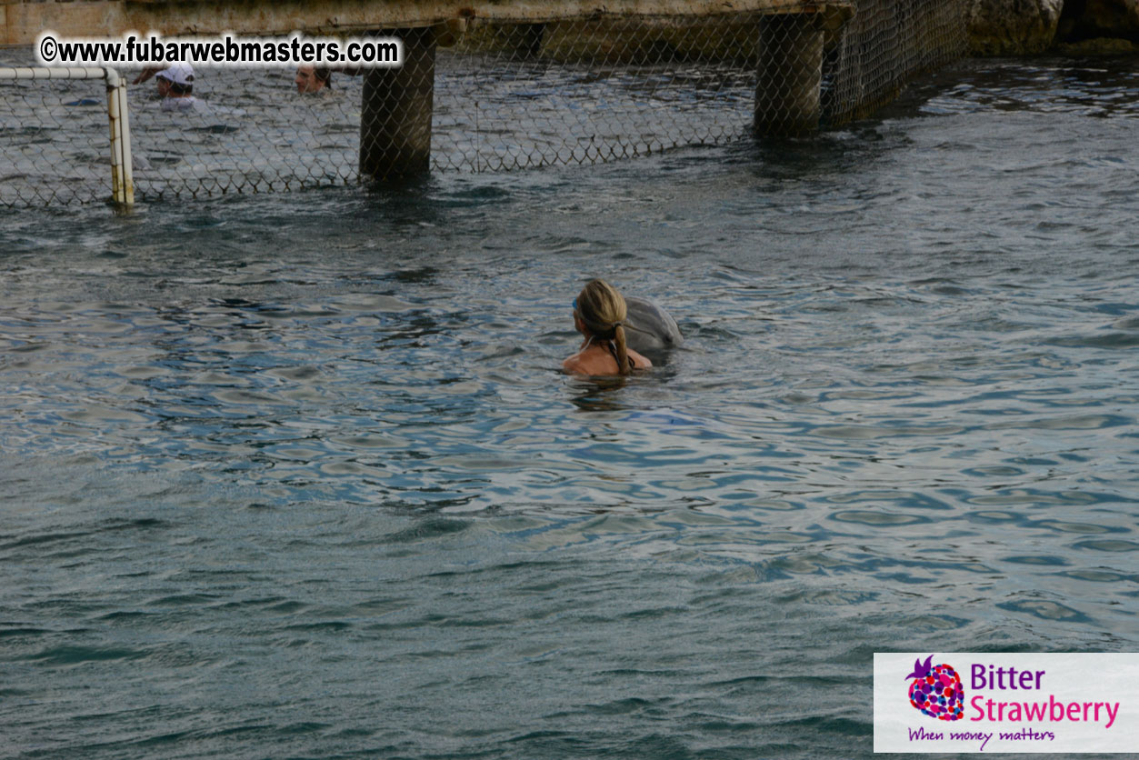 WireCard Dolphin Swim