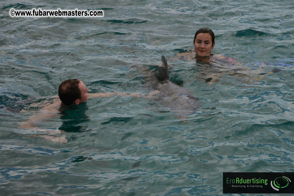 WireCard Dolphin Swim