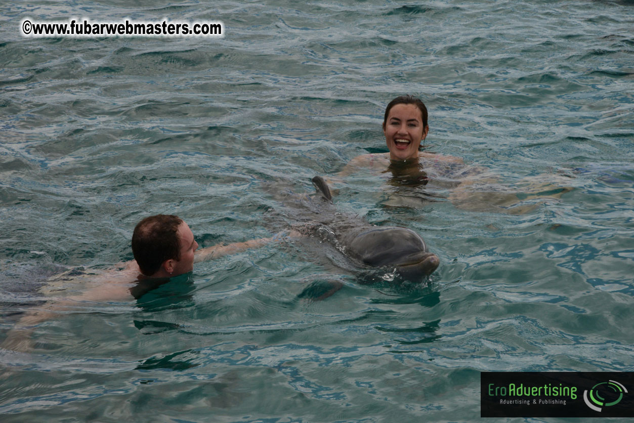 WireCard Dolphin Swim