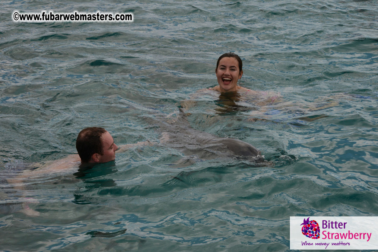 WireCard Dolphin Swim