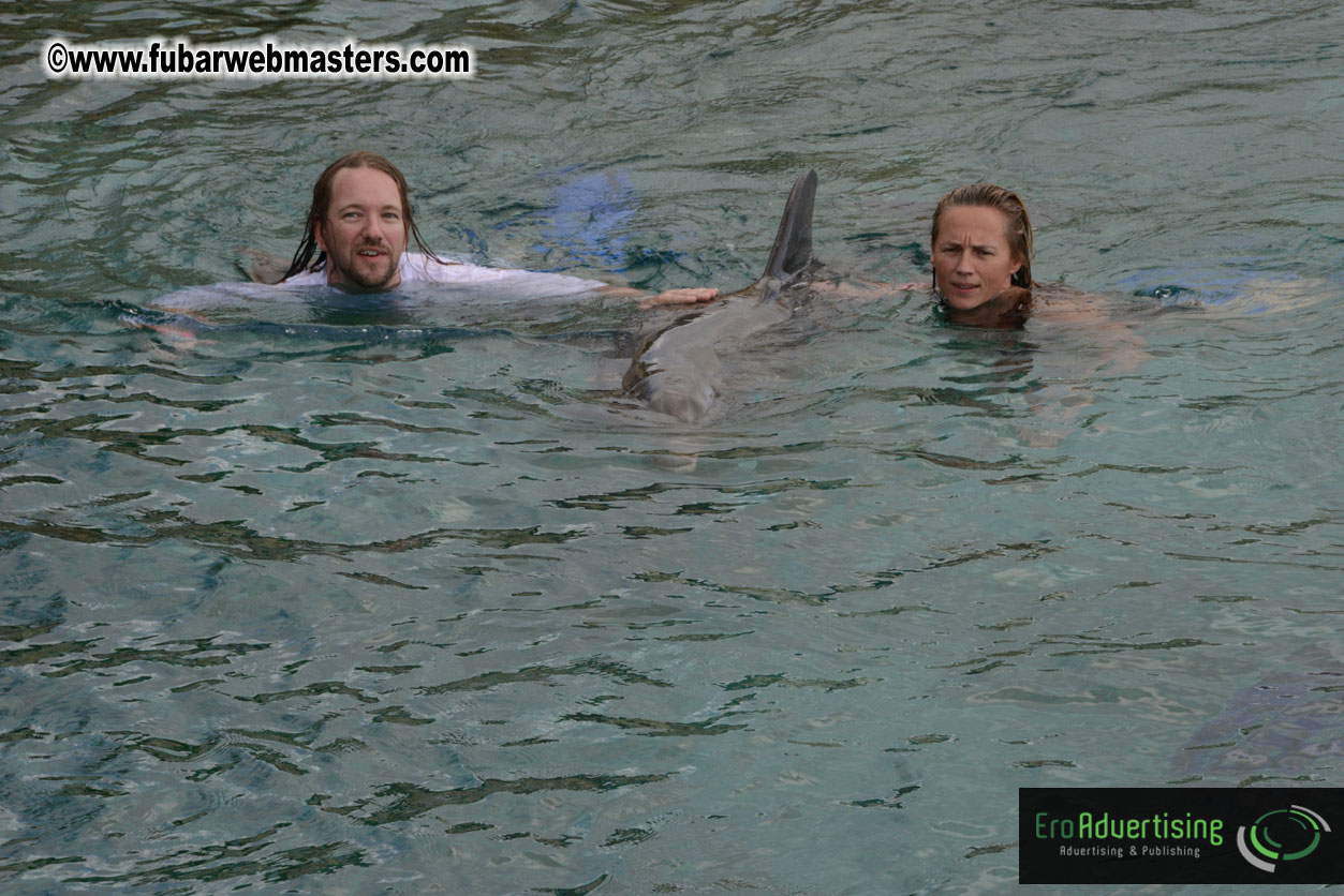 WireCard Dolphin Swim