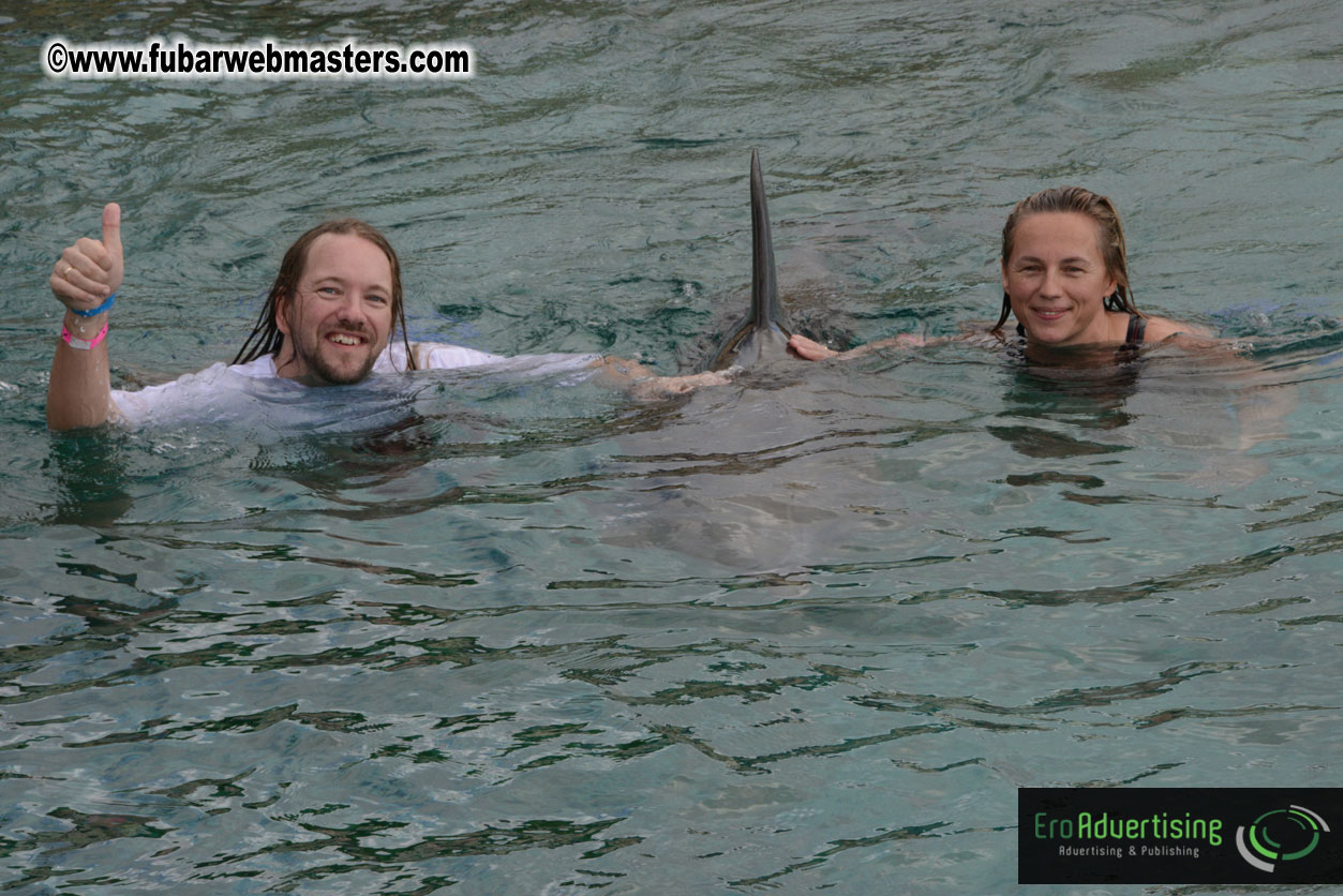 WireCard Dolphin Swim