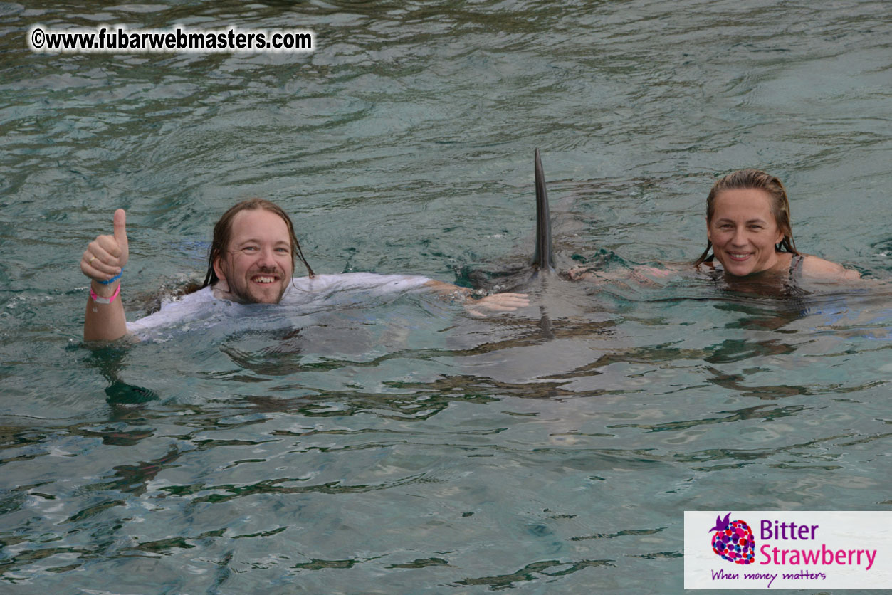 WireCard Dolphin Swim