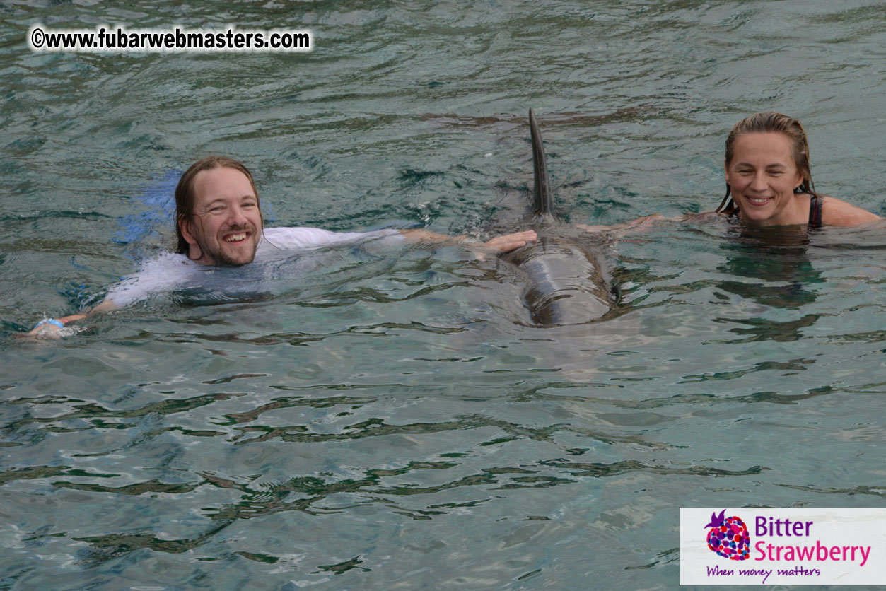 WireCard Dolphin Swim