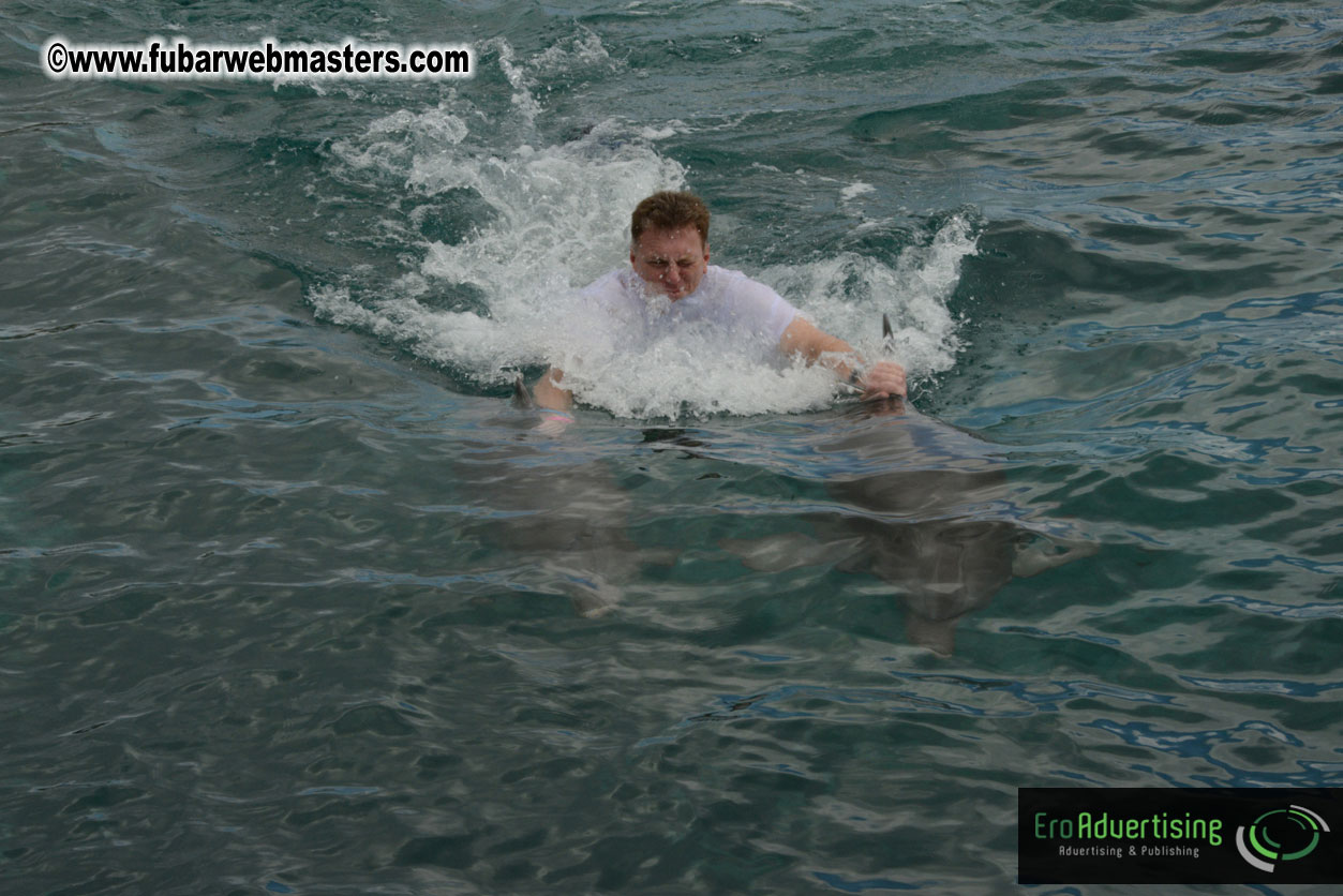 WireCard Dolphin Swim