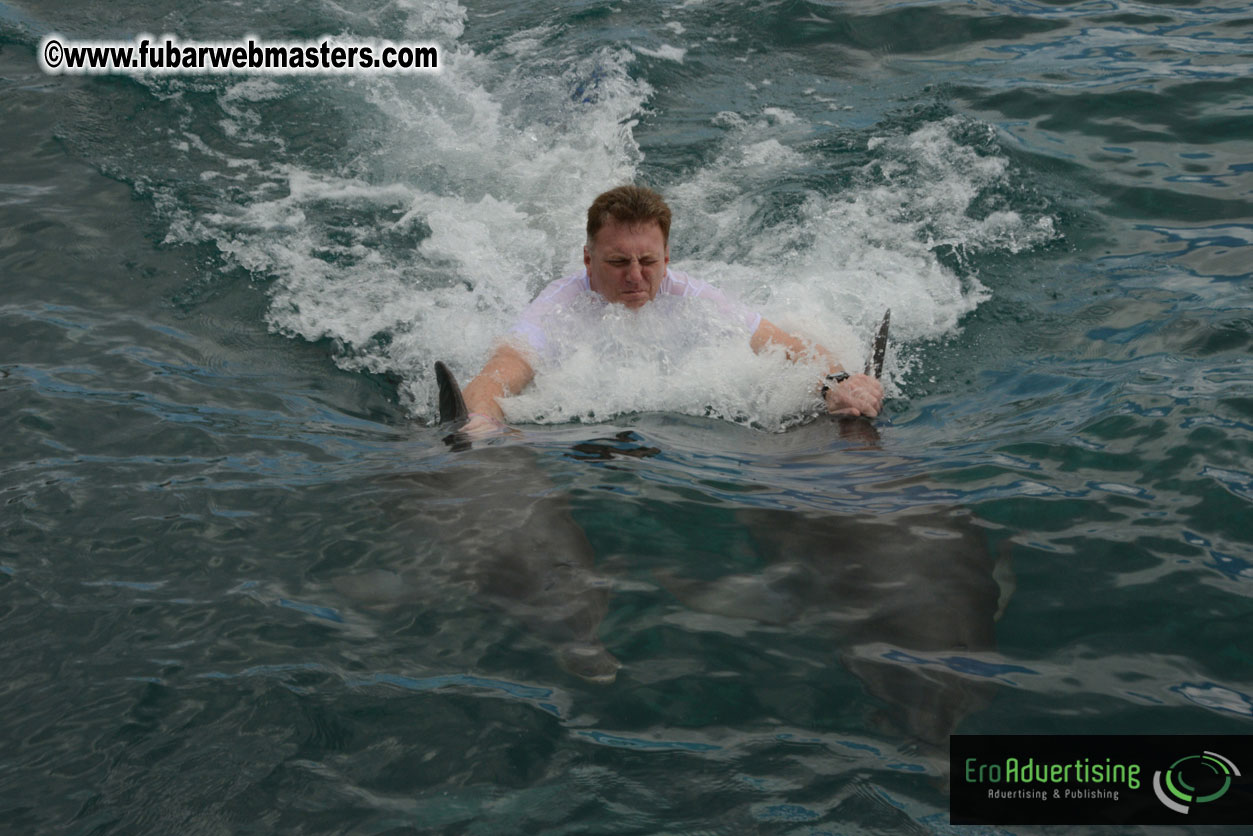 WireCard Dolphin Swim