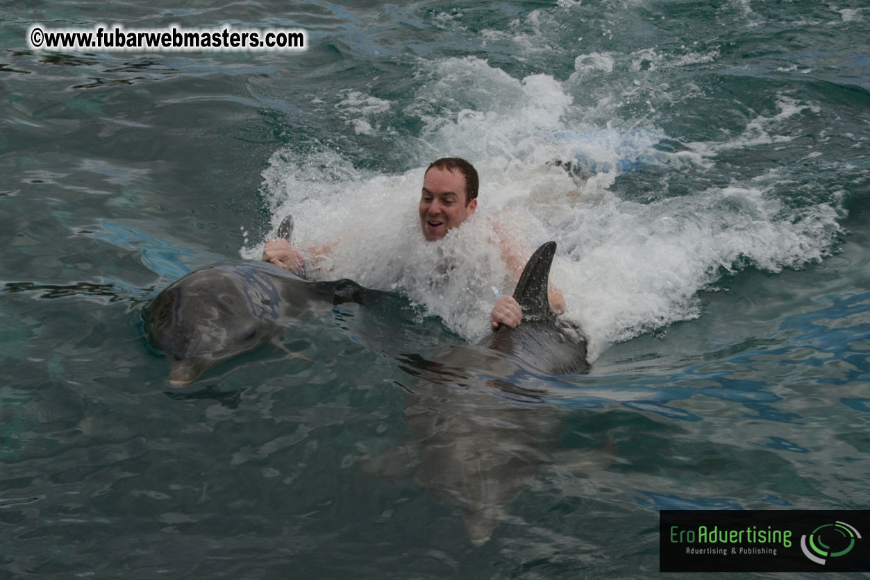 WireCard Dolphin Swim