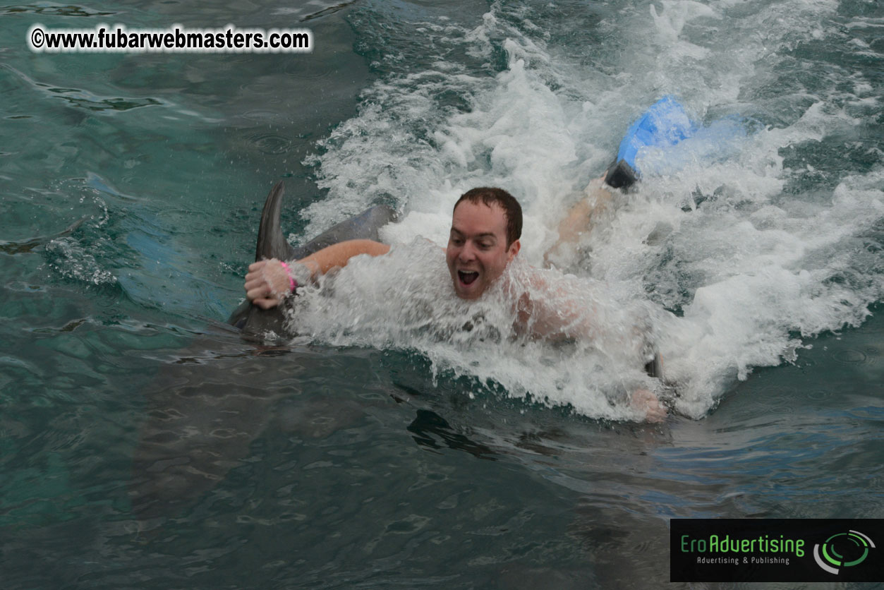 WireCard Dolphin Swim