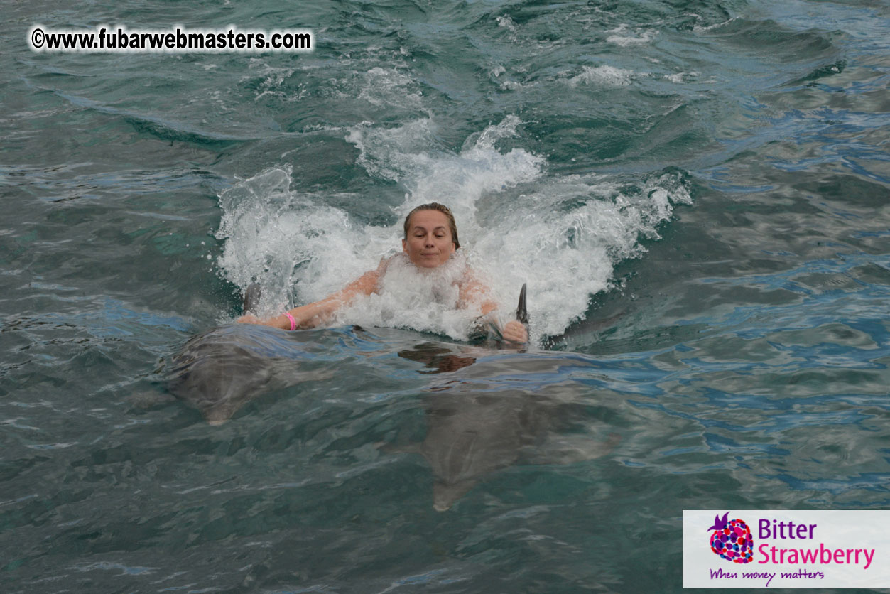 WireCard Dolphin Swim