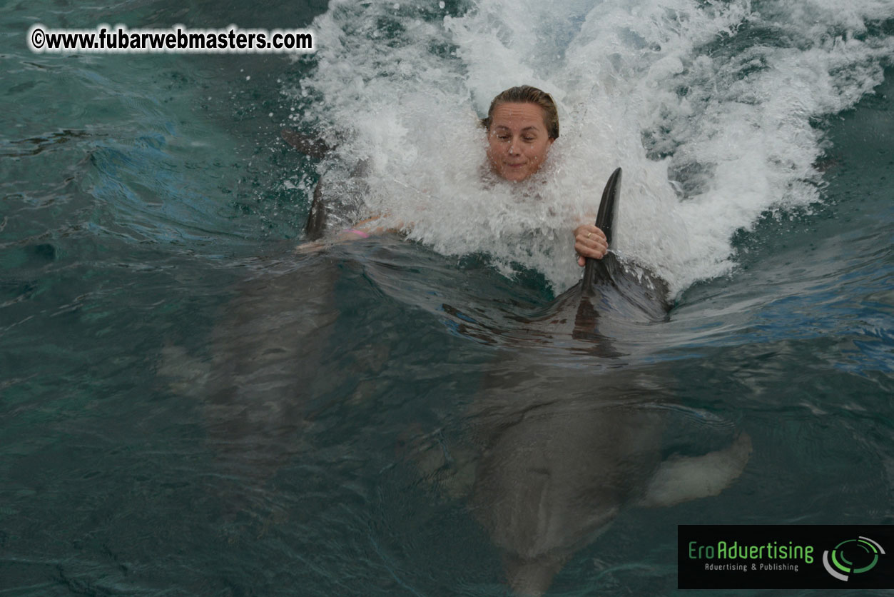 WireCard Dolphin Swim