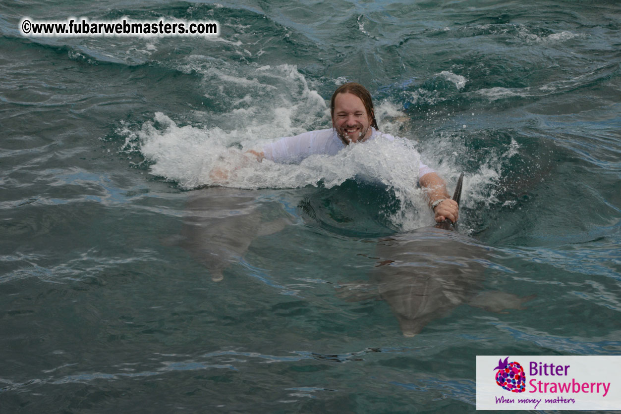 WireCard Dolphin Swim