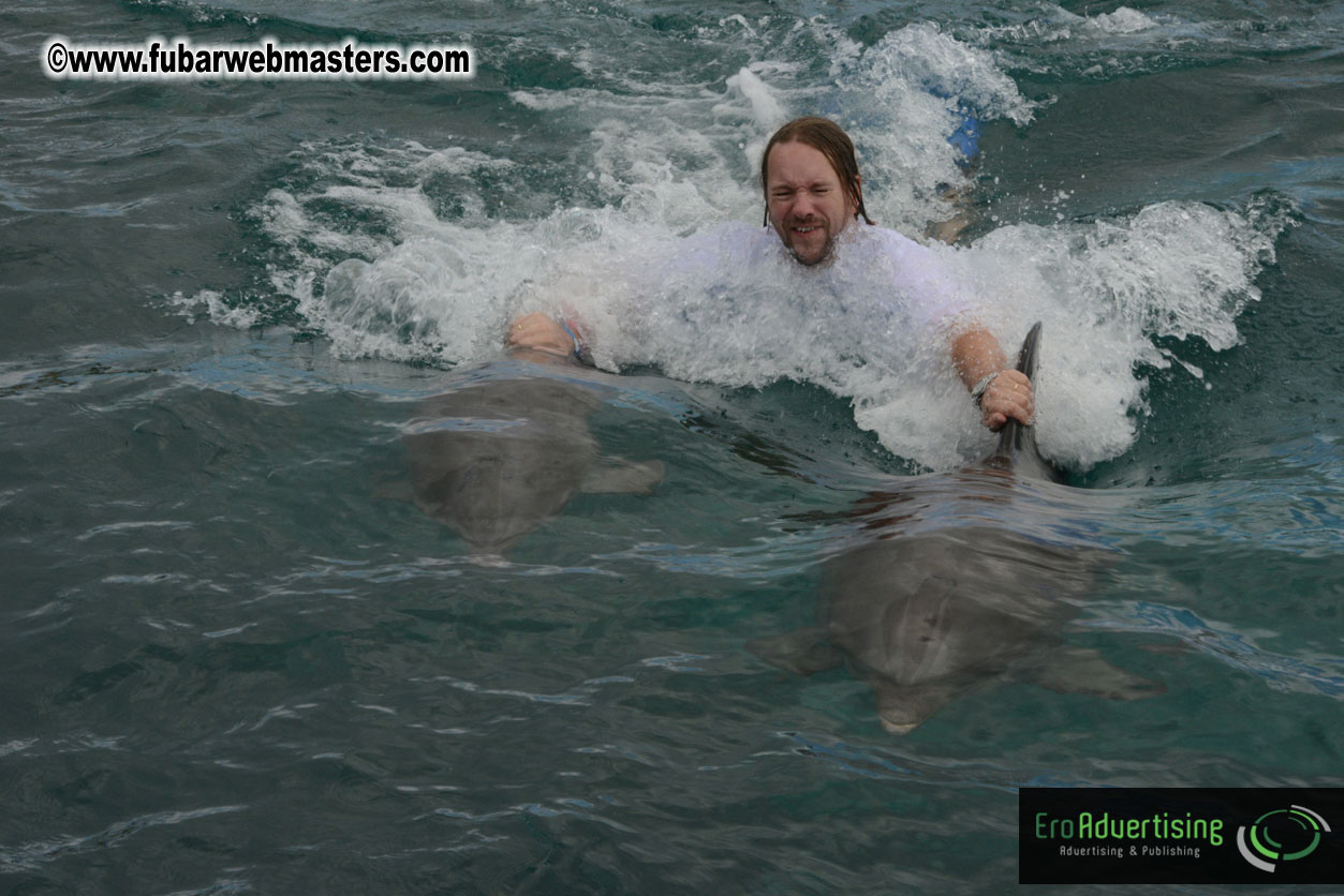 WireCard Dolphin Swim