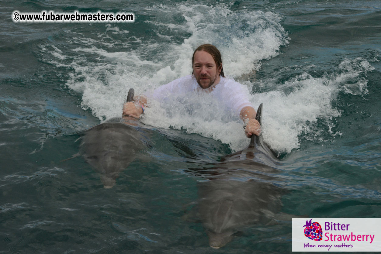 WireCard Dolphin Swim