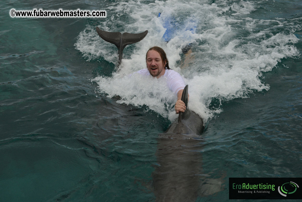 WireCard Dolphin Swim